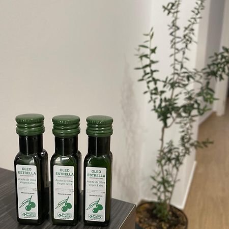 알카우데테 El Olivo 빌라 외부 사진